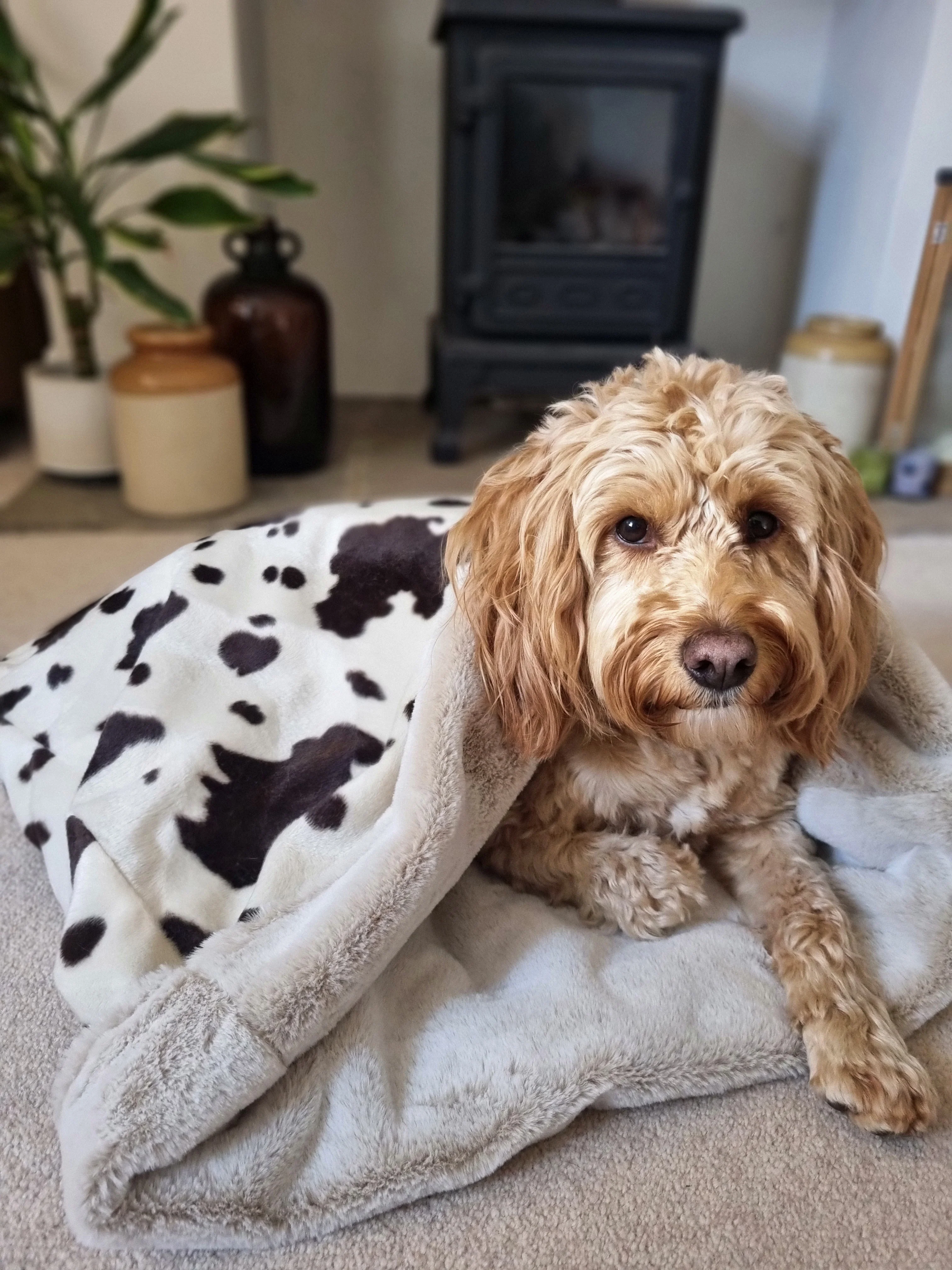 Snuggle Sack - Soft velboa cow design - Image 4