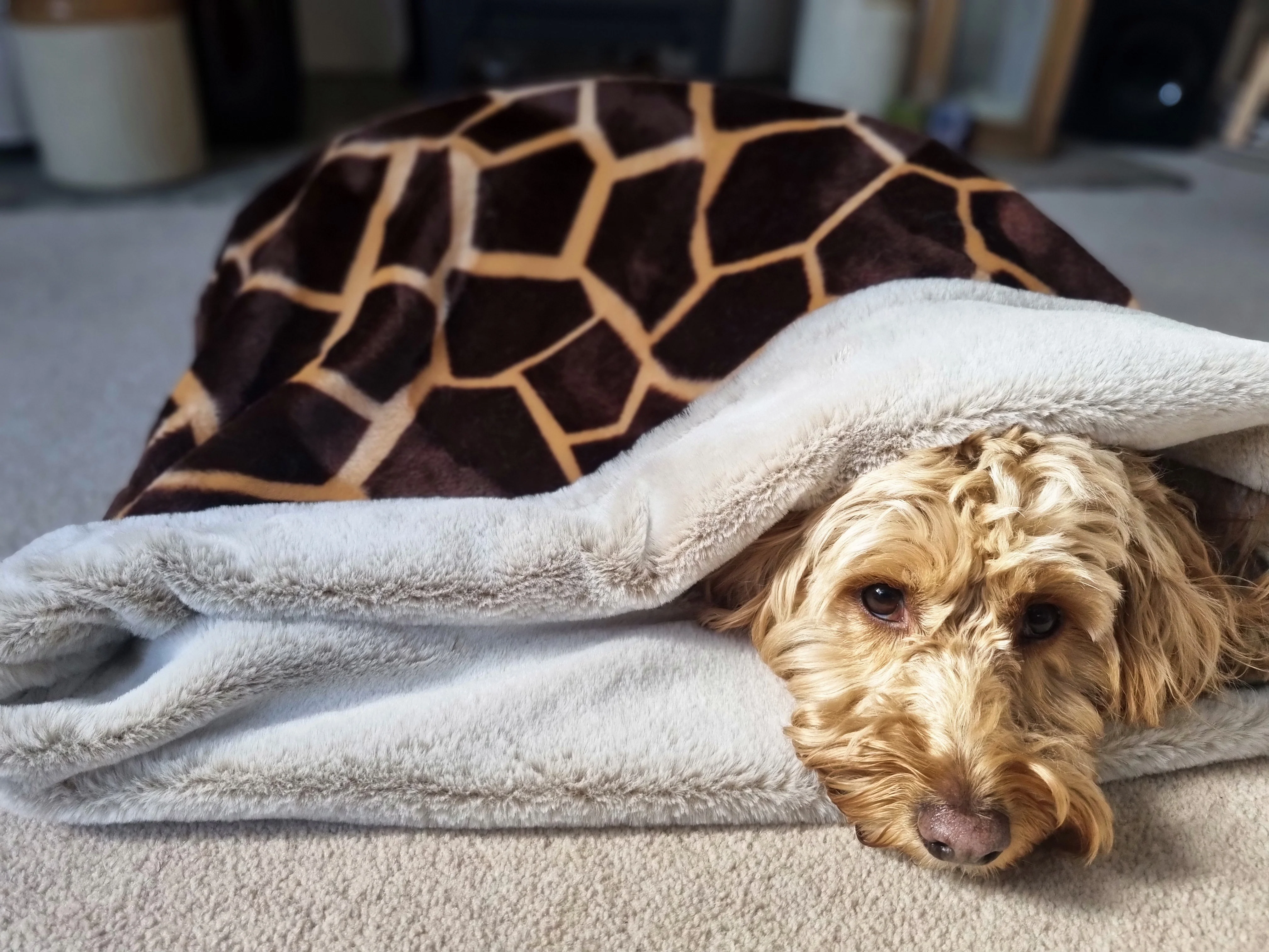 Snuggle Sack - Soft velboa giraffe design - Image 4